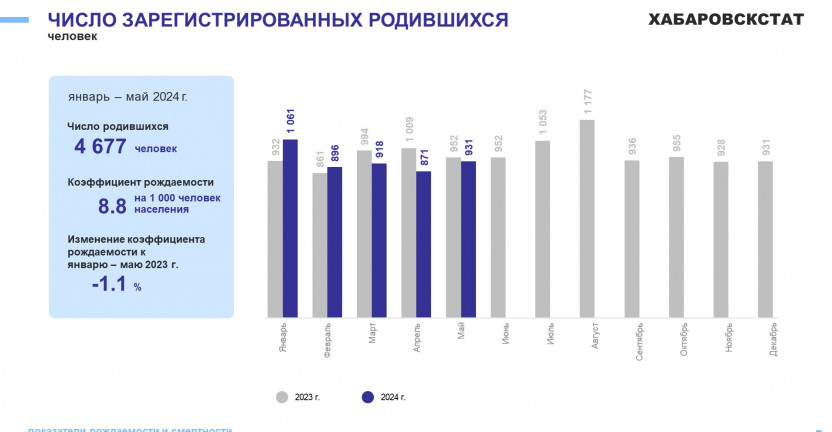 Демографические показатели Хабаровского края за январь-май 2024